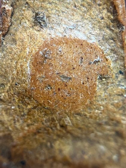 พระผงสุพรรณ พิมพ์หน้าแก่ เนื้อดิน รูปที่ 9