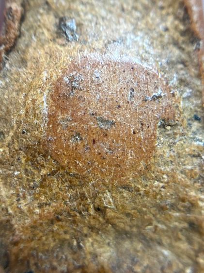 พระผงสุพรรณ พิมพ์หน้าแก่ เนื้อดิน รูปที่ 7