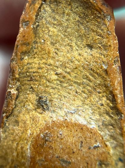 พระผงสุพรรณ พิมพ์หน้าแก่ เนื้อดิน รูปที่ 8