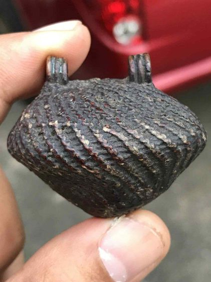 เบี้ยแก้(ลูกเก่าๆ) รูปที่ 2