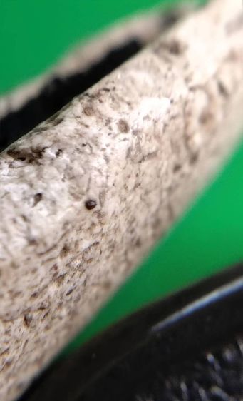 พระสมเด็จวัดระฆัง บางขุนพรหม เกศไชโย หลวงปู่ภู หลวงปู่นาค รูปที่ 12