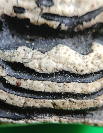 พระสมเด็จวัดระฆัง บางขุนพรหม เกศไชโย หลวงปู่ภู หลวงปู่นาค รูปที่ 10