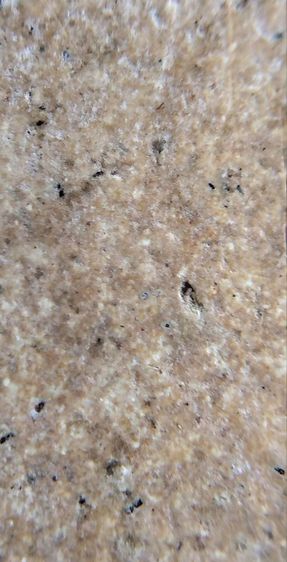 พระสมเด็จวัดระฆัง บางขุนพรหม เกศไชโย หลวงปู่ภู หลวงปู่นาค รูปที่ 18