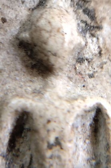 พระสมเด็จวัดระฆัง บางขุนพรหม เกศไชโย หลวงปู่ภู หลวงปู่นาค รูปที่ 14