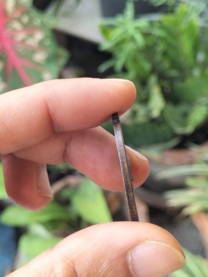 เหรียญหลวงพ่อเนื่อง วัดจุฬามณี จ.สมุทรสงคราม ปี 2511 เนื้อ ทองแดงรมดำ รูปที่ 5