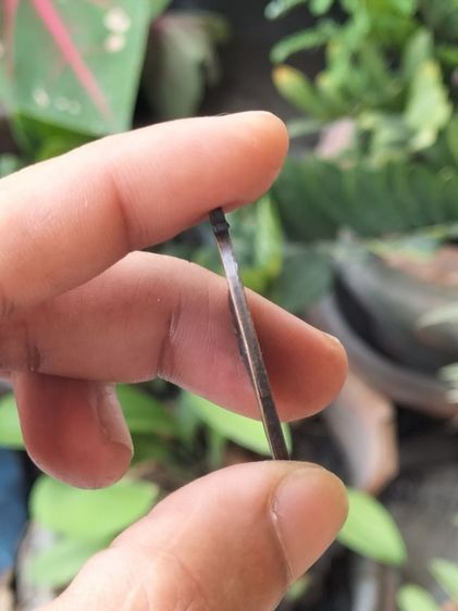 เหรียญหลวงพ่อเนื่อง วัดจุฬามณี จ.สมุทรสงคราม ปี 2511 เนื้อ ทองแดงรมดำ รูปที่ 3