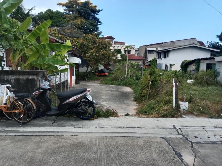 ที่ดินและบ้านเก่า รูปที่ 2