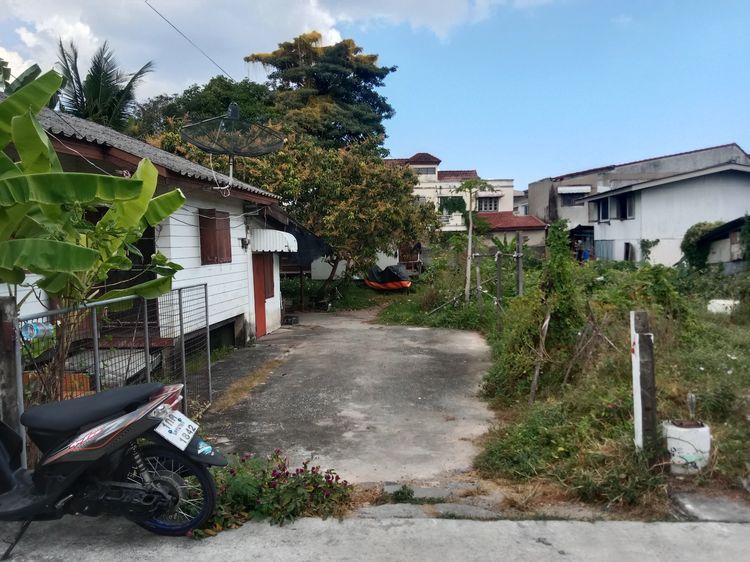 ที่ดินและบ้านเก่า รูปที่ 3