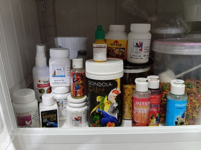 ค๊อกคาเทล รูปที่ 4