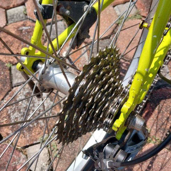 เสือภูเขา ARAYA รูปที่ 16