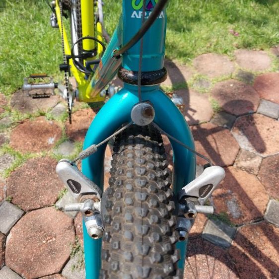 เสือภูเขา ARAYA รูปที่ 10