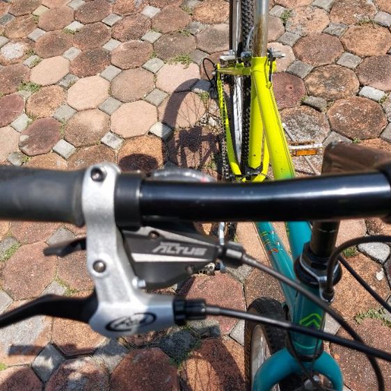 เสือภูเขา ARAYA รูปที่ 17