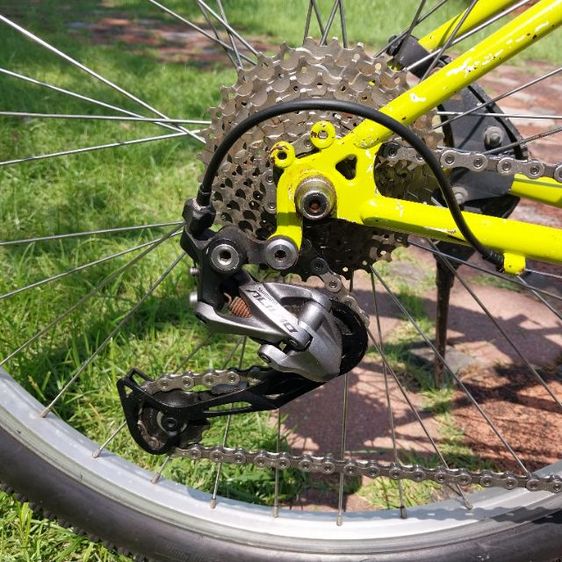 เสือภูเขา ARAYA รูปที่ 7