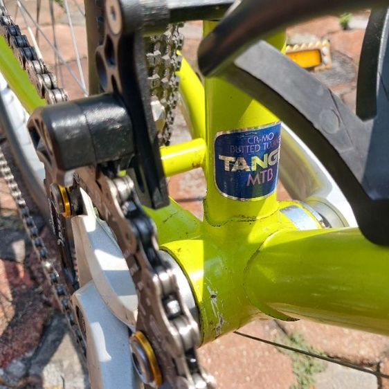 เสือภูเขา ARAYA รูปที่ 15