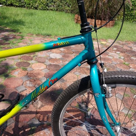 เสือภูเขา ARAYA รูปที่ 9