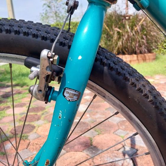 เสือภูเขา ARAYA รูปที่ 12