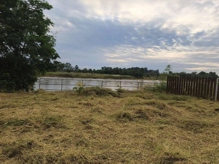 ขายที่ดิน ริมแม่น้ำ