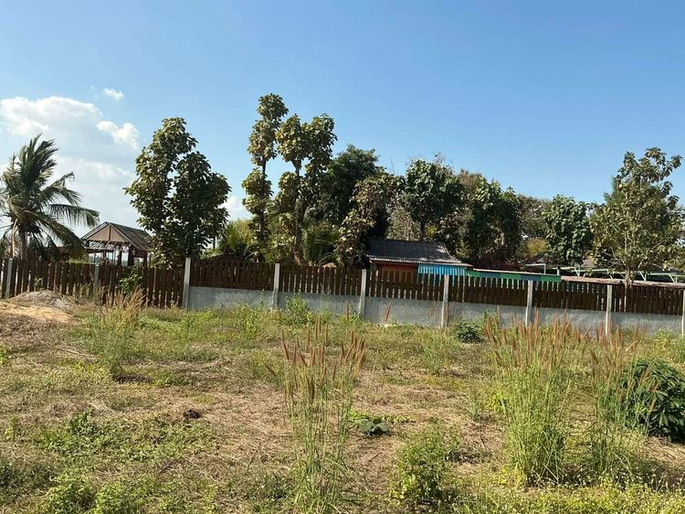 ขายที่ดิน ริมแม่น้ำ รูปที่ 3