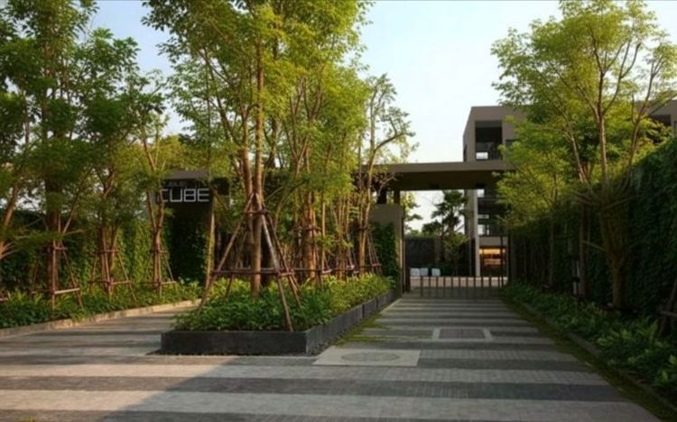 ปล่อยเช่า Noble Cube Pattanakarn – ทาวน์โฮมหรู ใจกลางพัฒนาการ
บ้านสวย ฟังก์ชันครบ ทำเลศักยภาพ เหมาะทั้งอยู่อาศัยและโฮมออฟฟิศ
 รูปที่ 2