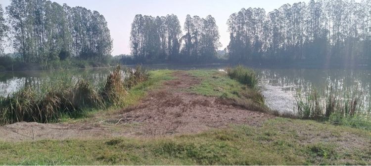 ไม่ใช่ ที่ดินติดน้ำ อำเภอดอนตูม นครปฐม เจ้าของขายเอง รูปที่ 4