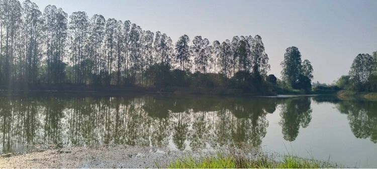 ไม่ใช่ ที่ดินติดน้ำ อำเภอดอนตูม นครปฐม เจ้าของขายเอง รูปที่ 3