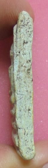 พระสมเด็จ วัดระฆัง รูปที่ 4