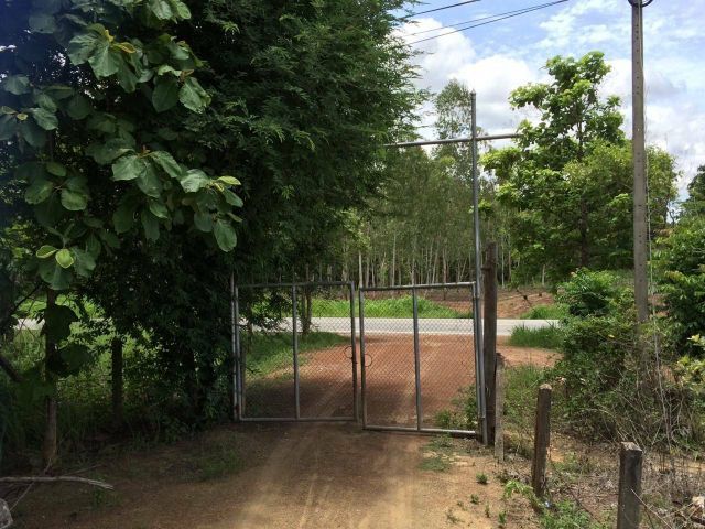 ใช่ ที่ดิน162ไร่ ต.น้ำพี้ อ.ทองแสนขัน จ.อุตรดิตถ์ ด้านหน้าติดถนน น้ำพี้ นาป่าคาย
ด้านหลังติดเขา พระบาท ขุดสระไว้ 2 ไร่ มีรั้วล้อมรอบ ไฟฟ้าขยายเขต มีถนนล้อมรอบที่เป็นแนวกันไฟ ระบบนิเวศดีมากไม่เคยมีเคมี ไร่ละ 300,000 บาท รูปที่ 2