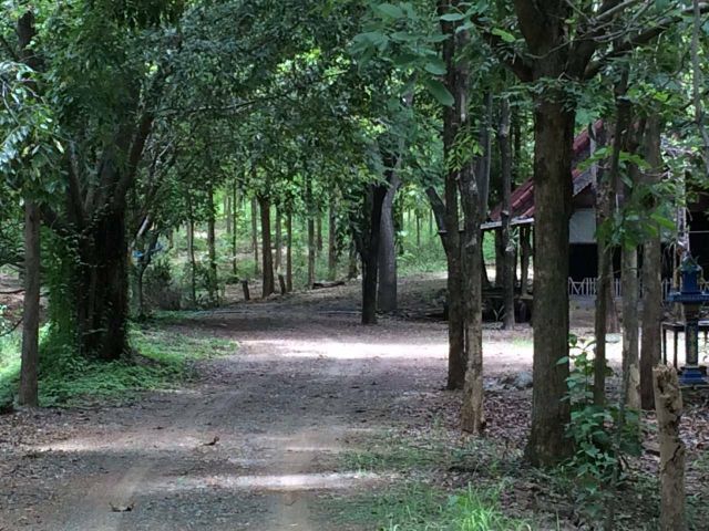 ที่ดิน162ไร่ ต.น้ำพี้ อ.ทองแสนขัน จ.อุตรดิตถ์ ด้านหน้าติดถนน น้ำพี้ นาป่าคาย
ด้านหลังติดเขา พระบาท ขุดสระไว้ 2 ไร่ มีรั้วล้อมรอบ ไฟฟ้าขยายเขต มีถนนล้อมรอบที่เป็นแนวกันไฟ ระบบนิเวศดีมากไม่เคยมีเคมี ไร่ละ 300,000 บาท