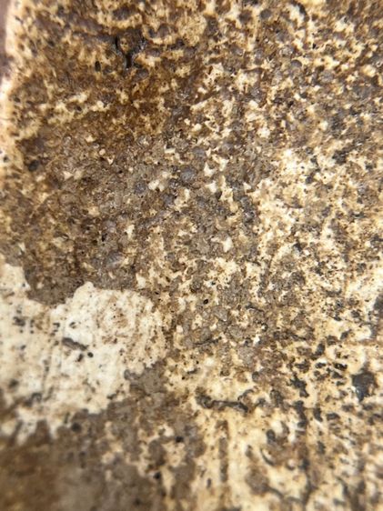 พระสมเด็จวัดระฆังพิมพ์ฐานคู่ รูปที่ 13