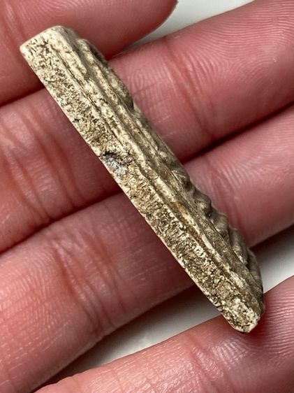 พระสมเด็จเนื้อผง รูปที่ 3