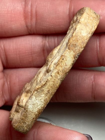 พระปางสมาธิปรกโพธิ์ รูปที่ 4