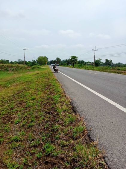 ที่นาติดกับ ทางหลวงแผ่นดินสายรัตนบุรี - ศรีขรภูมิ (ทางหลวงหมายเลข 2076)  รูปที่ 4