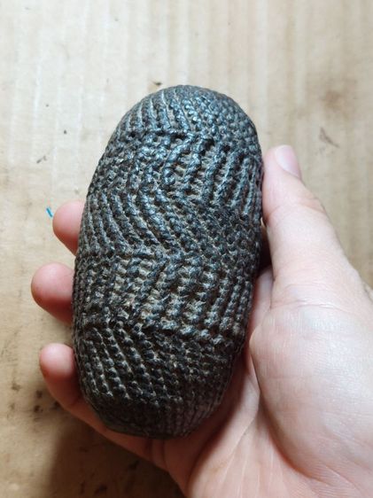 เครื่องรางตะกรุดหลวงพ่อโพธิ์วัดวังหมาเน่าพิจิตร รูปที่ 7