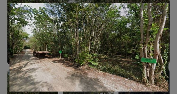 ที่ดินแปลงสวย ขนาด 1 ไร่ 1 งาน 30 ตารางวา รูปที่ 3