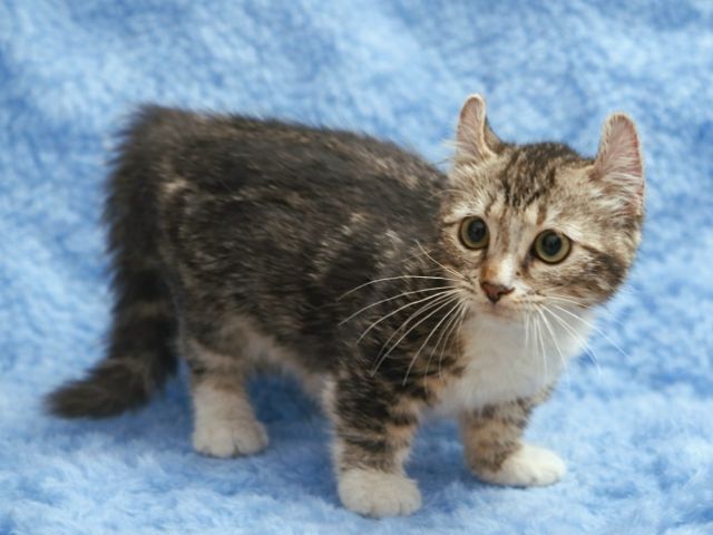 ขาสั้น9000 รูปที่ 3