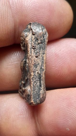 พระผงสุพรรณหน้าแก รูปที่ 10