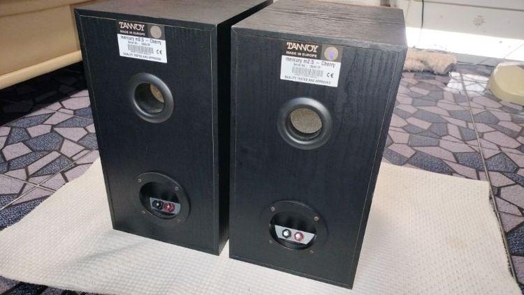 Tannoy mercury m2. 5 รูปที่ 5