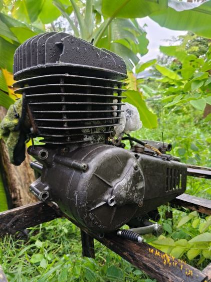 MT250 รูปที่ 3