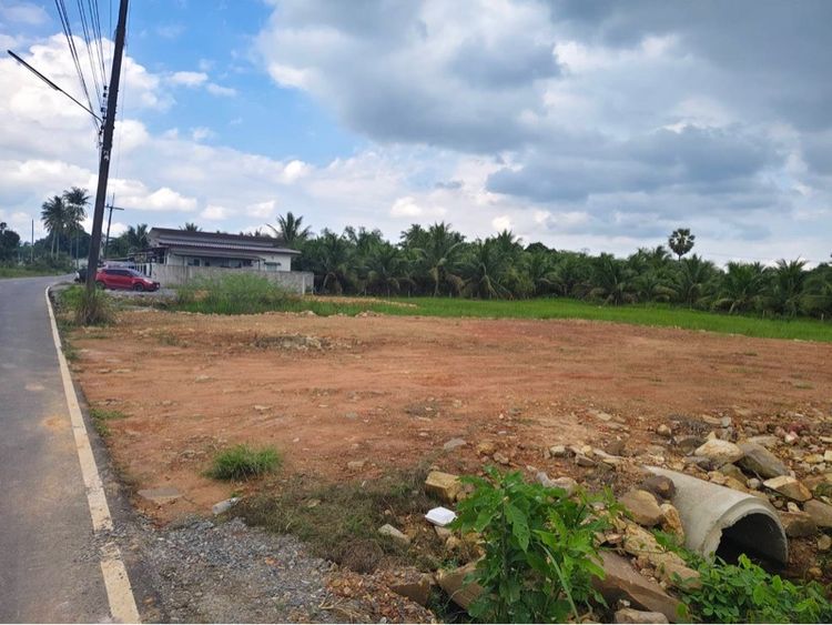 ที่ดิน รูปที่ 2