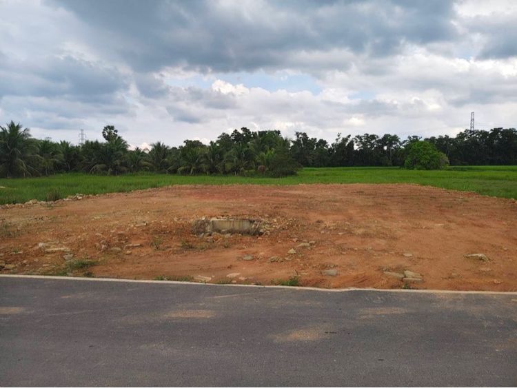 ที่ดิน รูปที่ 3