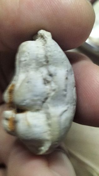 พระปิดตาหลวงปู่ทิมอิสริโกวัดละหารไร่ รูปที่ 12