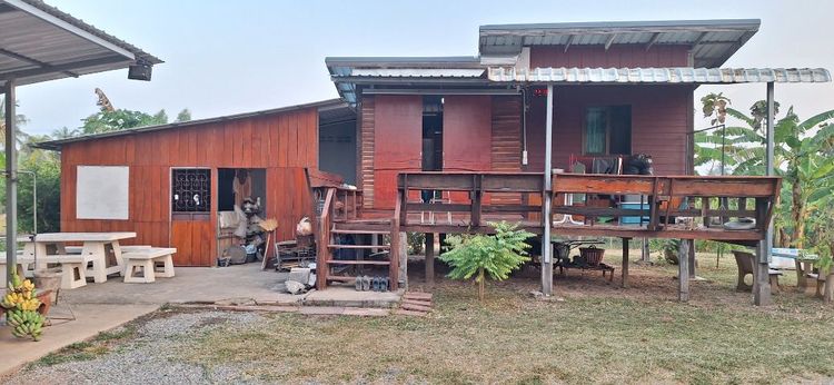 ขายบ้านสวน(โคก-หนอง-นา)2-2-75ไร่(ครุฑแดง-พร้อมโอน)บ้านเลขที่99 ไฟฟ้าประปาแอร์WIFIกล้องวงจรปิด พร้อมเข้าอยู่และทำกิน อ.บ้านเขว้า จ.ชัยภูมิ