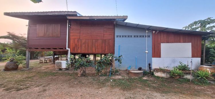 อื่นๆ ตกแต่งครบ 2024 ขายบ้านสวน(โคก-หนอง-นา)2-2-75ไร่(ครุฑแดง-พร้อมโอน)บ้านเลขที่99 ไฟฟ้าประปาแอร์WIFIกล้องวงจรปิด พร้อมเข้าอยู่และทำกิน อ.บ้านเขว้า จ.ชัยภูมิ รูปที่ 4