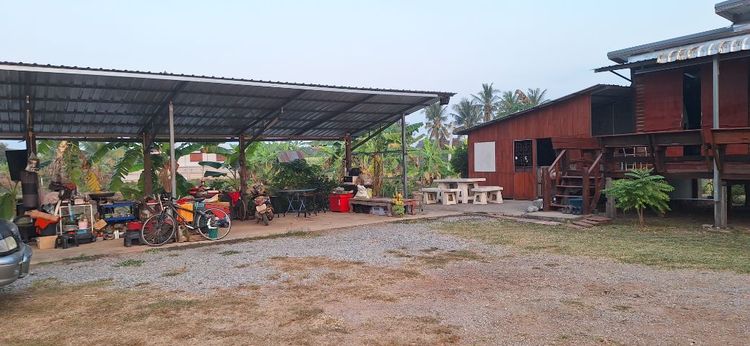 อื่นๆ ตกแต่งครบ 2024 ขายบ้านสวน(โคก-หนอง-นา)2-2-75ไร่(ครุฑแดง-พร้อมโอน)บ้านเลขที่99 ไฟฟ้าประปาแอร์WIFIกล้องวงจรปิด พร้อมเข้าอยู่และทำกิน อ.บ้านเขว้า จ.ชัยภูมิ รูปที่ 2