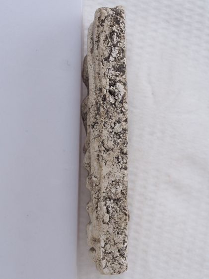 พระสมเด็จ 01126813 รูปที่ 4