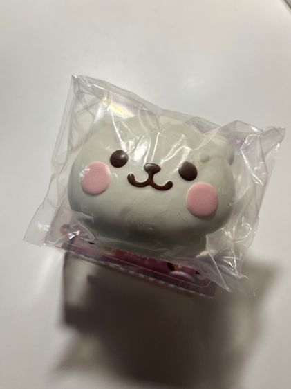 สกุชชี่ibloomมาโม่  รูปที่ 2