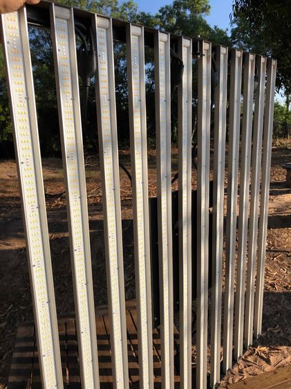 Home Grow Setup - LED รูปที่ 4