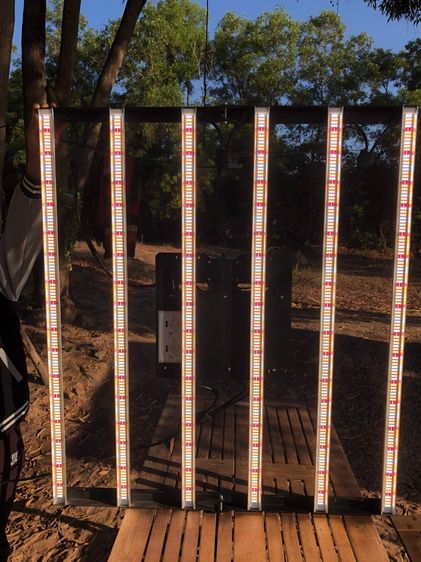 Home Grow Setup - LED รูปที่ 7