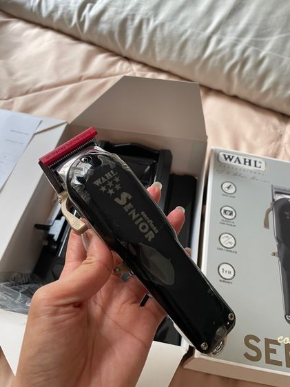 ปัตตาเลี่ยน รูปที่ 2