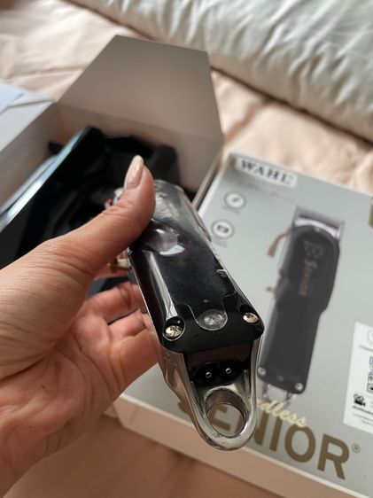 ปัตตาเลี่ยน รูปที่ 6